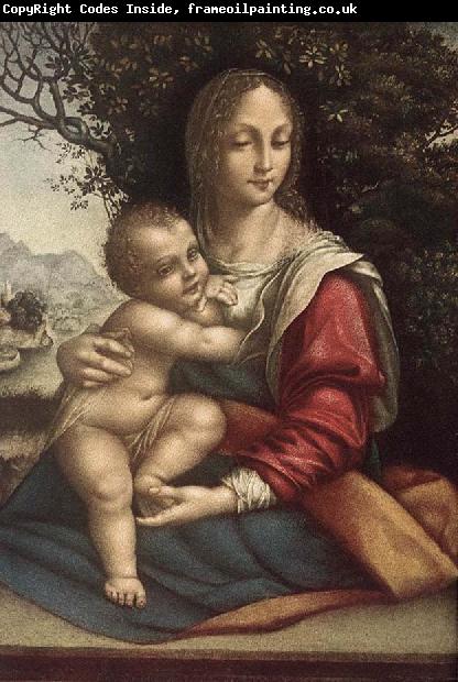 Cesare da Sesto Madonna and Child